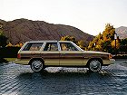 Plymouth Reliant, I (1981 – 1989), Универсал 5 дв.. Фото 2