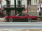 Buick Regal, I (1973 – 1977), Купе. Фото 2