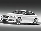 Audi S5, I (8T) (2007 – 2011), Лифтбек: характеристики, отзывы