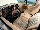 Ford Bronco, III (1980 – 1986), Внедорожник 3 дв.. Фото 5