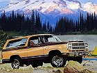 Dodge Ramcharger, I (1974 – 1980), Внедорожник 3 дв.. Фото 2