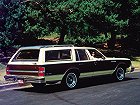 Buick Estate Wagon, III (1977 – 1990), Универсал 5 дв.. Фото 3