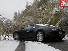 Bugatti EB Veyron 16.4, I (2003 – 2015), Купе. Фото 3