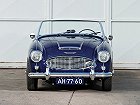 Austin Healey 100, 100 (BN4/BN6) (1956 – 1959), Родстер. Фото 4