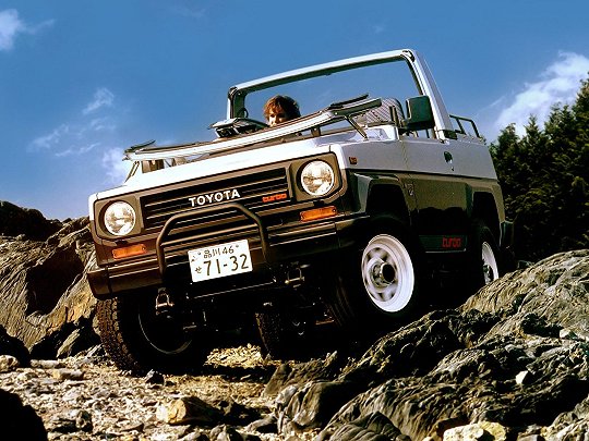 Toyota Blizzard,  (1984 – 1994), Внедорожник открытый: характеристики, отзывы